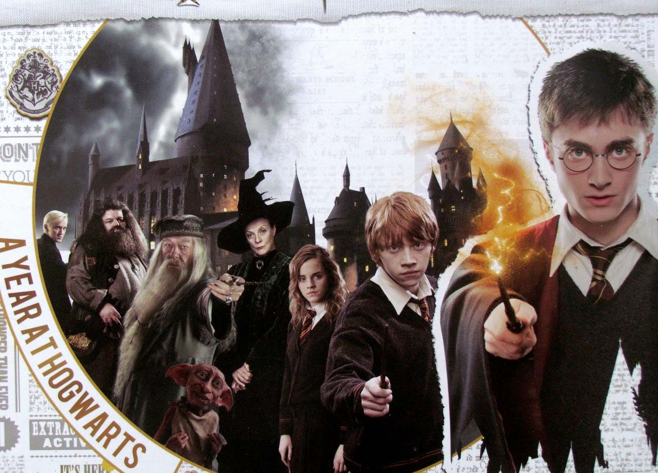 Harry Potter: Un Anno a Hogwarts